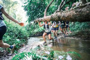 BIB: 
                            <button type="button" onclick="openModal(25461172)" class="btn btn-primary btn-sm float-right btn-popup" data-toggle="modal" data-target=".modal-high-quality">
                        <i class="fas fa-shopping-cart"></i> Add to Cart
                    </button>
                                            <button type="button" onclick="isThisMe(25461172, true)" class="btn btn-success btn-sm float-right btn-popup btn-isme hidden" data-toggle="tooltip" data-placement="bottom" title="นี่คือรูปของคุณใช่ไหม คลิกที่นี่เพื่อเอาเข้าอัลบั้ม">
                        <i class="fas fa-plus"></i> Add to album
                    </button>
                    <button type="button" onclick="isThisMe(25461172, false)" class="btn btn-warning btn-sm float-right btn-popup btn-isnotme hidden">
                        <i class="fas fa-ban"></i> Remove from album
                    </button>